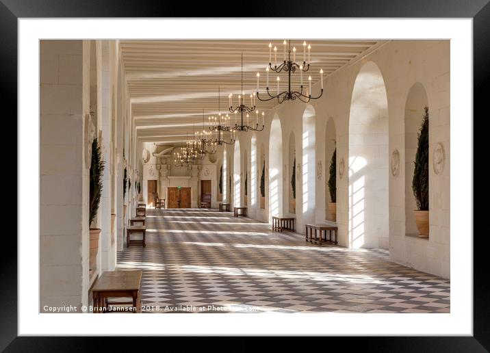 Chateau Chenonceau Gallery Framed Mounted Print by Brian Jannsen