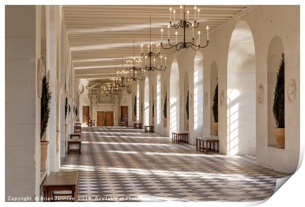 Chateau Chenonceau Gallery Print by Brian Jannsen
