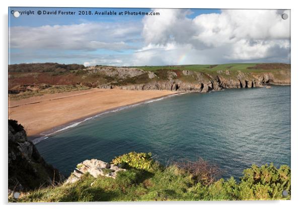 Beautiful Barafundle Bay From the Pembrokeshire Co Acrylic by David Forster