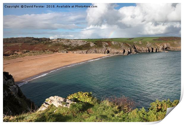 Beautiful Barafundle Bay From the Pembrokeshire Co Print by David Forster