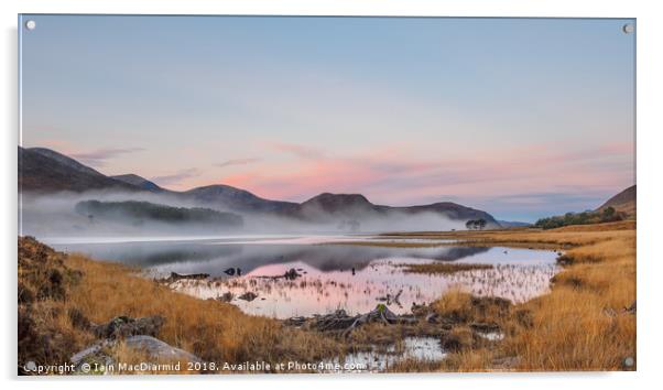 Misty Loch Droma Acrylic by Iain MacDiarmid