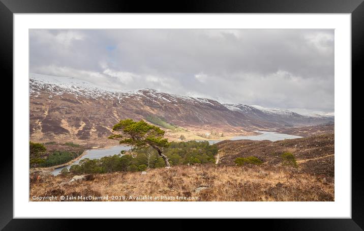 The View From Mullardoch Lodge Framed Mounted Print by Iain MacDiarmid