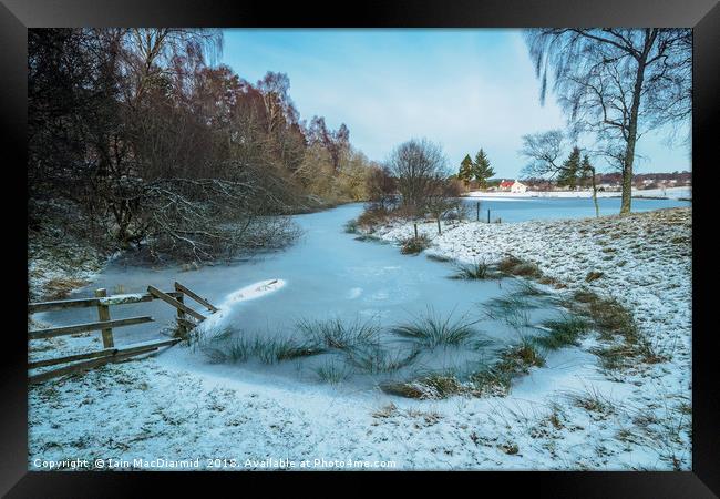 Frozen Avie Lochan Framed Print by Iain MacDiarmid