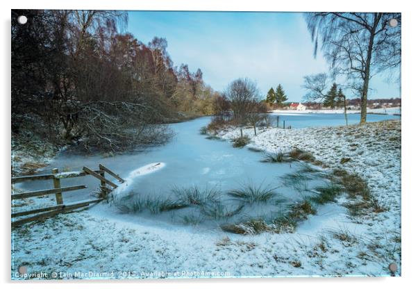 Frozen Avie Lochan Acrylic by Iain MacDiarmid
