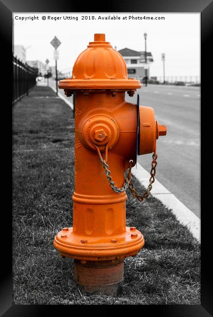 Orange Fire Hydrant Framed Print by Roger Utting