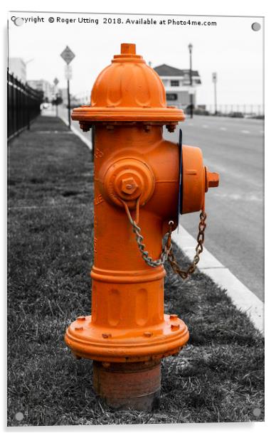 Orange Fire Hydrant Acrylic by Roger Utting