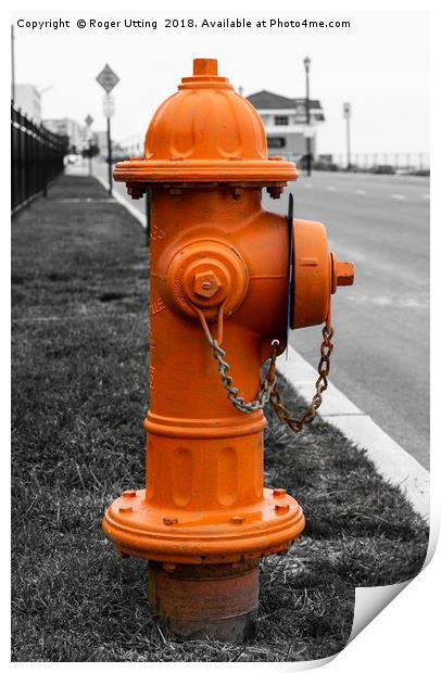 Orange Fire Hydrant Print by Roger Utting