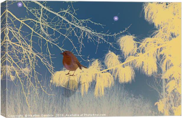 On a Cold and Frosty Morning Canvas Print by Heather Goodwin