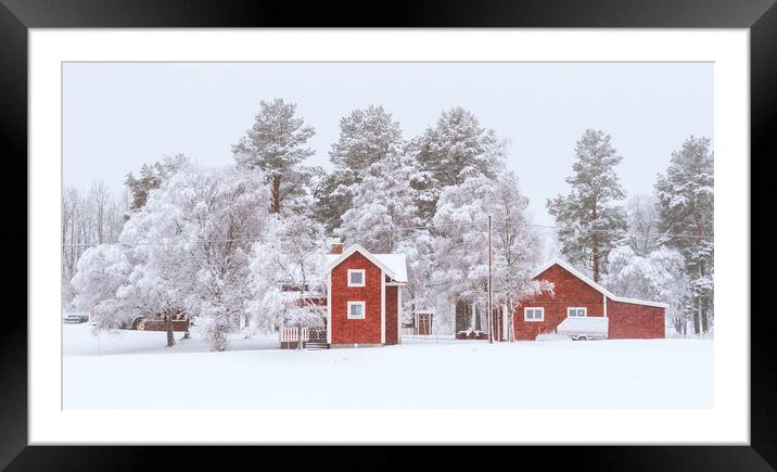 Winter in Sweden Framed Mounted Print by Hamperium Photography
