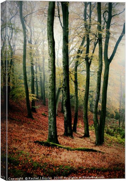 Enchanted Autumn Woodland Canvas Print by RJ Bowler