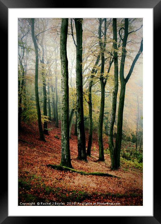 Enchanted Autumn Woodland Framed Mounted Print by RJ Bowler