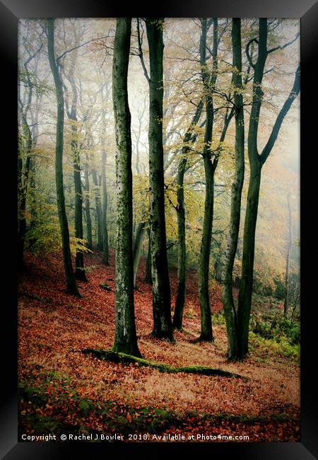 Enchanted Autumn Woodland Framed Print by RJ Bowler