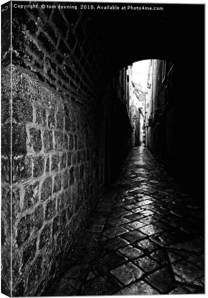 The Alley Canvas Print by tom downing