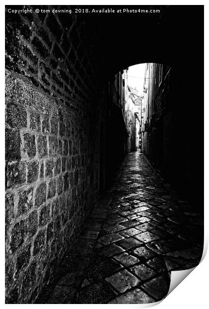 The Alley Print by tom downing