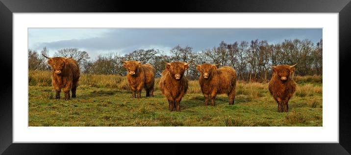 Just cos it's Coosday. Framed Mounted Print by JC studios LRPS ARPS