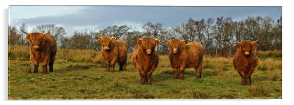 Just cos it's Coosday. Acrylic by JC studios LRPS ARPS