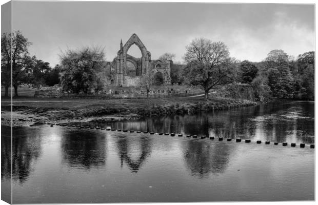 Bolton Abbey Yorkshire Canvas Print by Diana Mower
