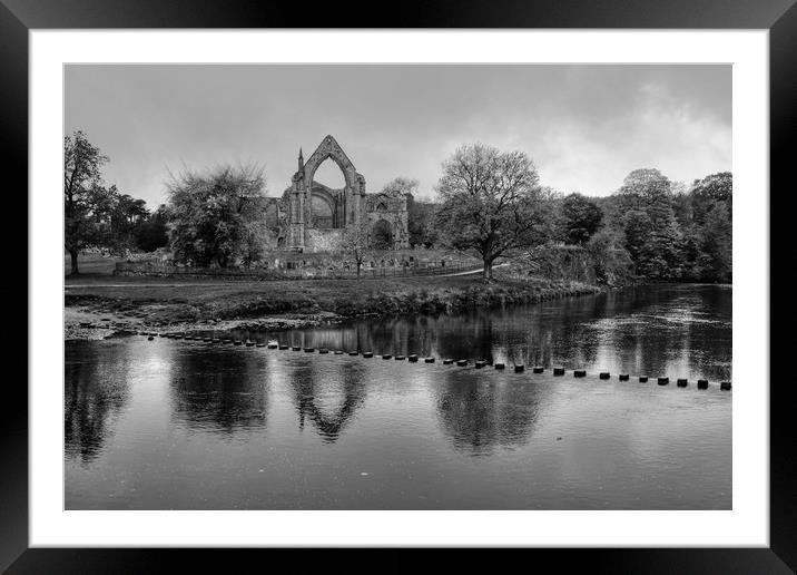 Bolton Abbey Yorkshire Framed Mounted Print by Diana Mower