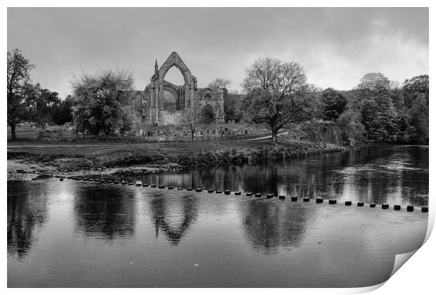 Bolton Abbey Yorkshire Print by Diana Mower