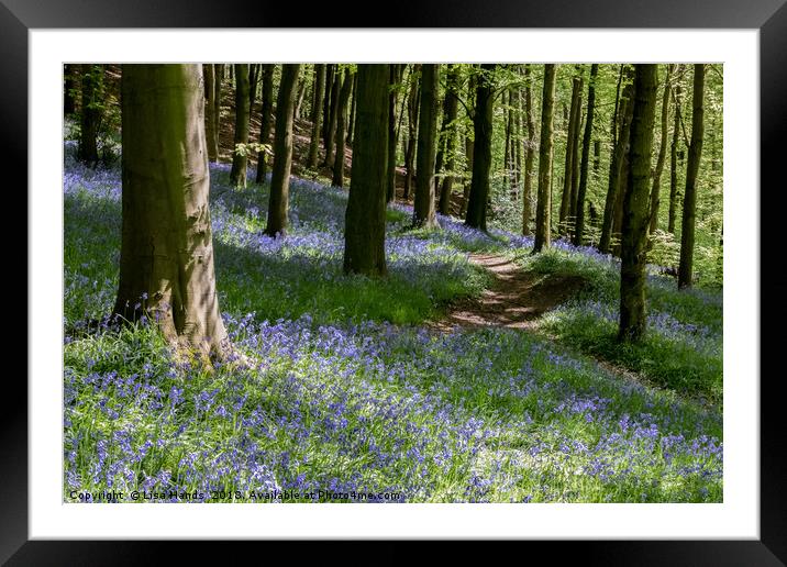 Bluebell Wood, Moss Valley 1 Framed Mounted Print by Lisa Hands
