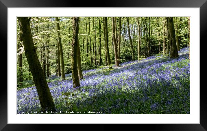 Bluebell Wood, Moss Valley 3 Framed Mounted Print by Lisa Hands