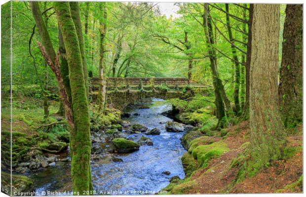Old Stone Bridge over Crow Water Canvas Print by Richard Long