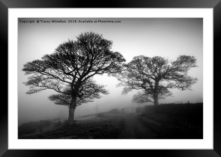 Silhouettes in the Mist Framed Mounted Print by Tracey Whitefoot