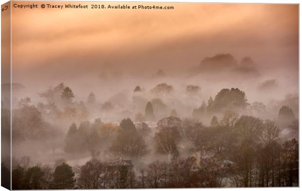 Out of the Mist  Canvas Print by Tracey Whitefoot