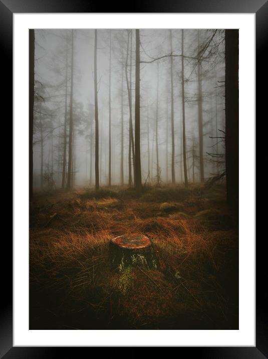 Woodland Framed Mounted Print by andrew bagley