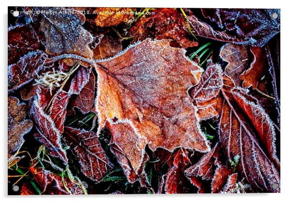 Frosty Leaves Acrylic by Martyn Arnold