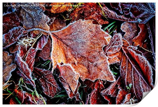 Frosty Leaves Print by Martyn Arnold