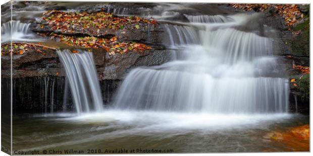 Autumnal Waterfall Canvas Print by Chris Willman