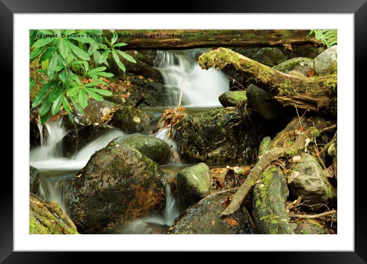 WOOD AND STONES Framed Mounted Print by andrew saxton