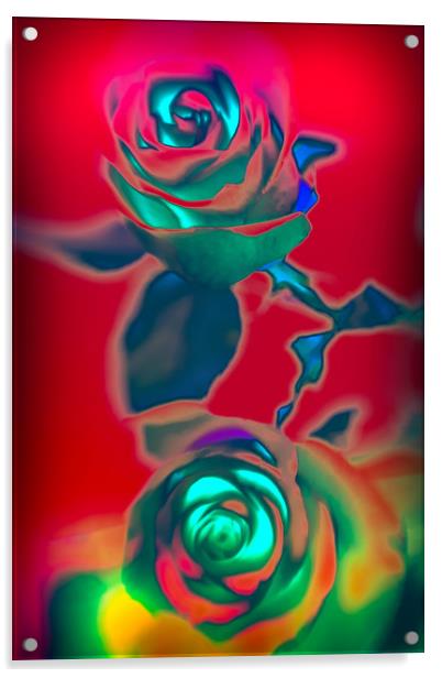 Neon roses Acrylic by Larisa Siverina
