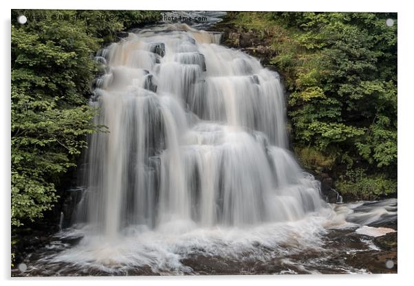 Bonnington Linn, The Falls of Clyde Acrylic by Bill Spiers