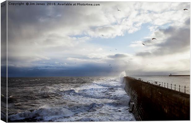 Stormy sea, sky and seagulls Canvas Print by Jim Jones