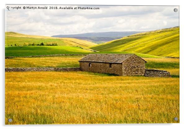 Malhamdale Landscape Yorkshire Acrylic by Martyn Arnold