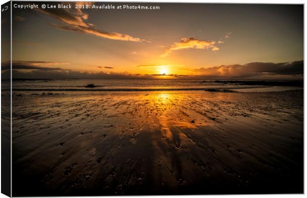Sunrise at Easthaven Beach Canvas Print by Lee Black