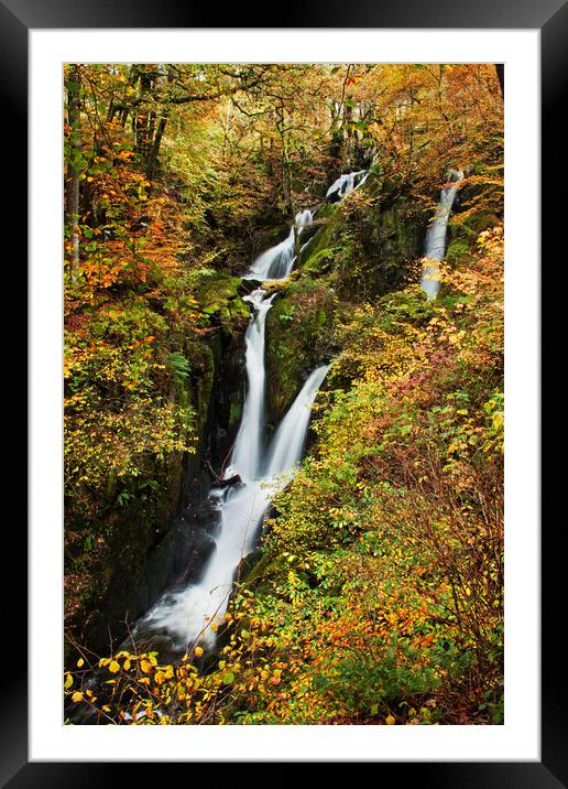 Stock Ghyll Force Framed Mounted Print by David McCulloch