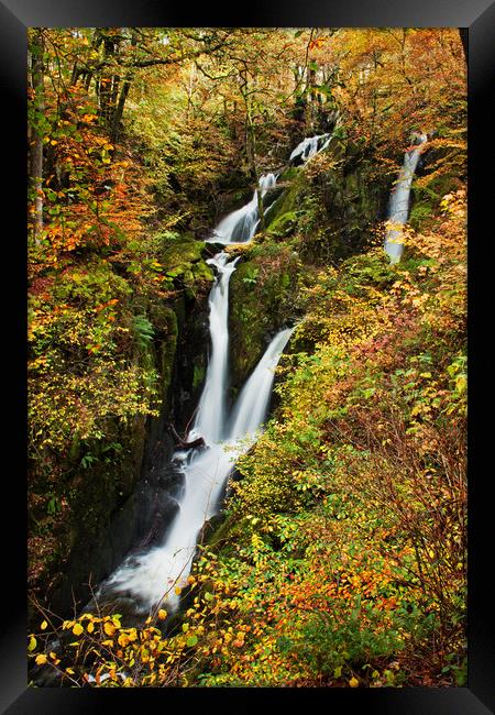 Stock Ghyll Force Framed Print by David McCulloch