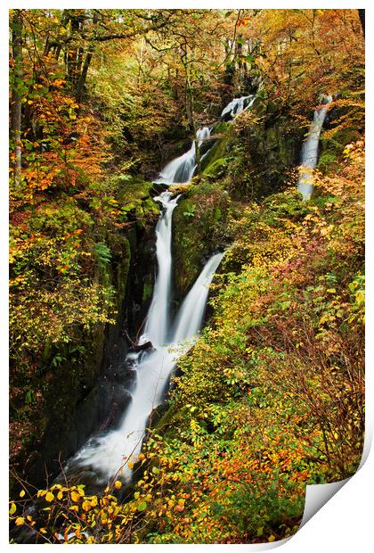 Stock Ghyll Force Print by David McCulloch
