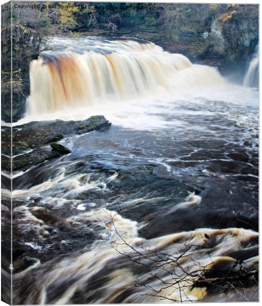 Bonnington Linn, Falls of Clyde, Lanark Canvas Print by Bill Spiers