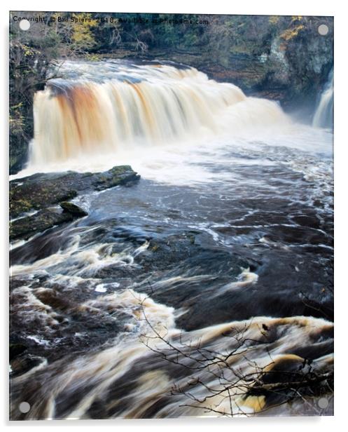 Bonnington Linn, Falls of Clyde, Lanark Acrylic by Bill Spiers