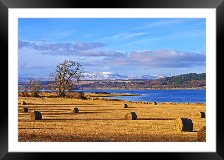 The Beauly Firth and Ben Wyvis Framed Mounted Print by Jacqi Elmslie