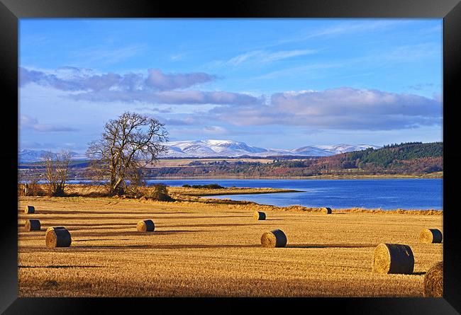 The Beauly Firth and Ben Wyvis Framed Print by Jacqi Elmslie
