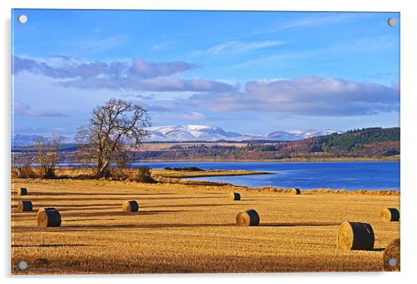 The Beauly Firth and Ben Wyvis Acrylic by Jacqi Elmslie