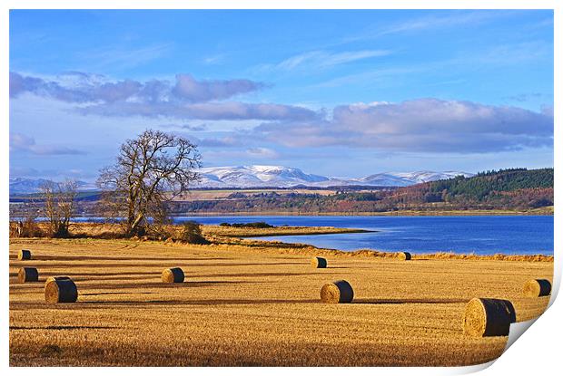 The Beauly Firth and Ben Wyvis Print by Jacqi Elmslie