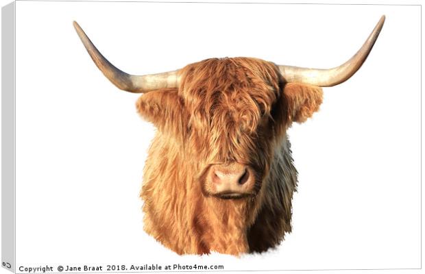 Highland Cow Portrait Canvas Print by Jane Braat