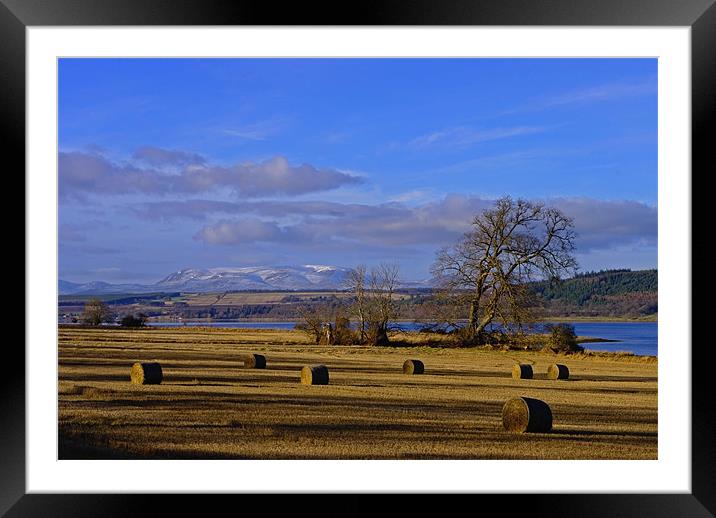 Ben Wyvis and the Beauly Firth Framed Mounted Print by Jacqi Elmslie