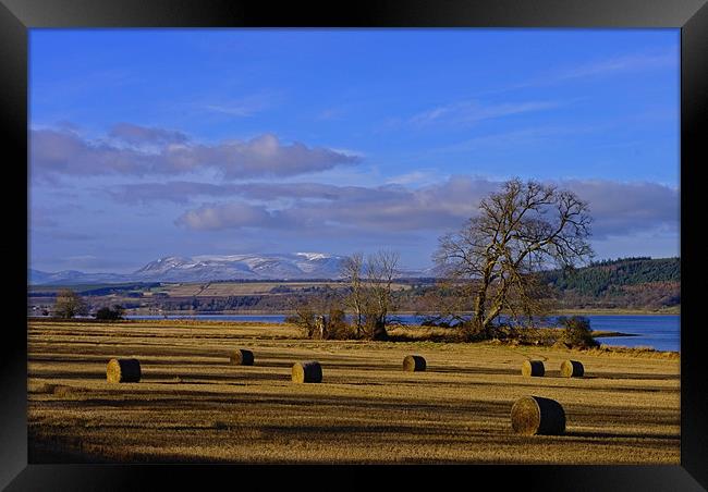 Ben Wyvis and the Beauly Firth Framed Print by Jacqi Elmslie